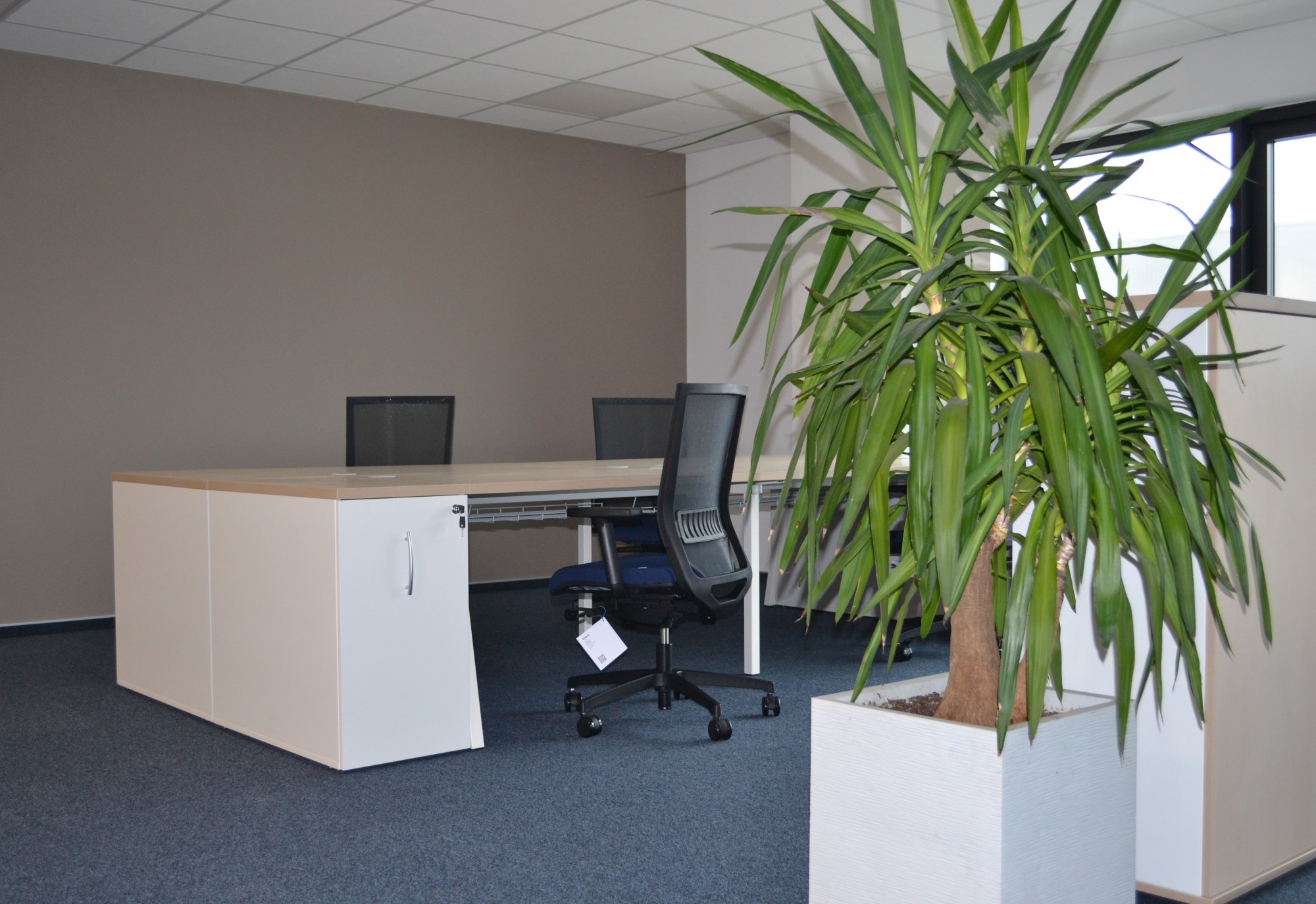 Comment cr&eacute;er une ambiance zen ? Rixheim