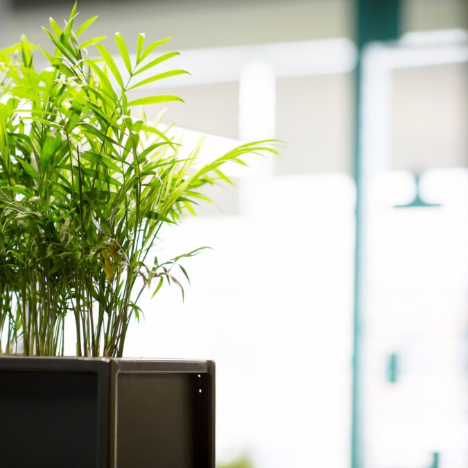 Comment am&eacute;nager un open space ? Rixheim 3